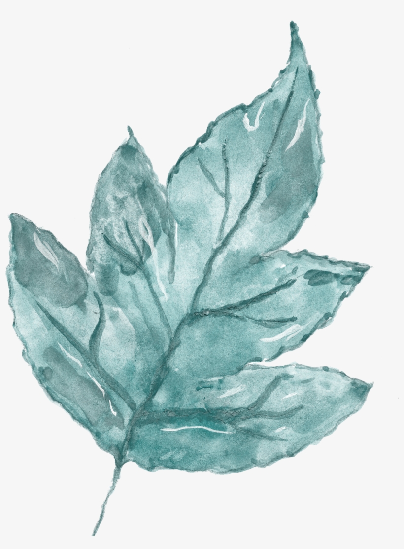 Watercolour - Watercolor Painting, transparent png download