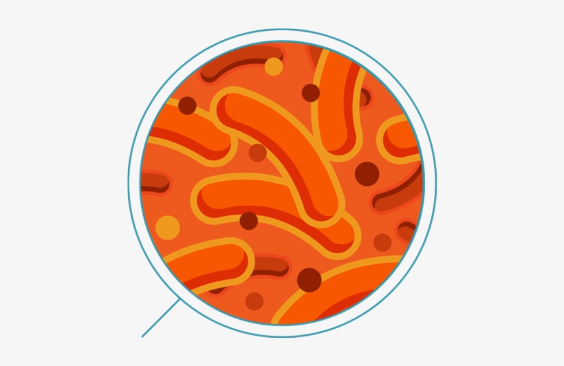 Iron-oxidizing Bacteria - Bacteria, transparent png download