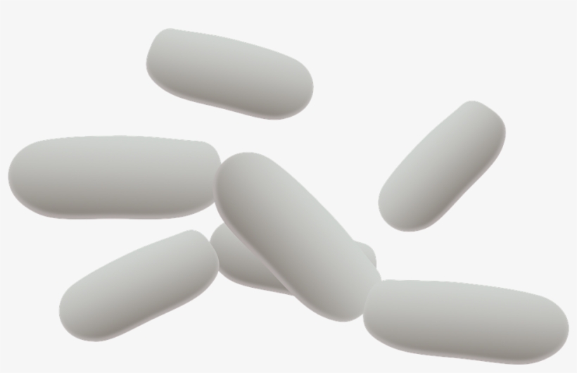 How To Set Use Bacteria Clipart, transparent png download