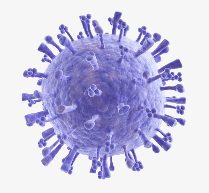 Bacteria Png Image - Introduction To Modern Virology [book], transparent png download