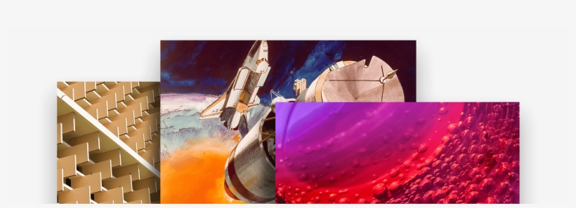 Bacteria Cannot Penetrate Through Nhx Nhx Can Absorb - Science, transparent png download