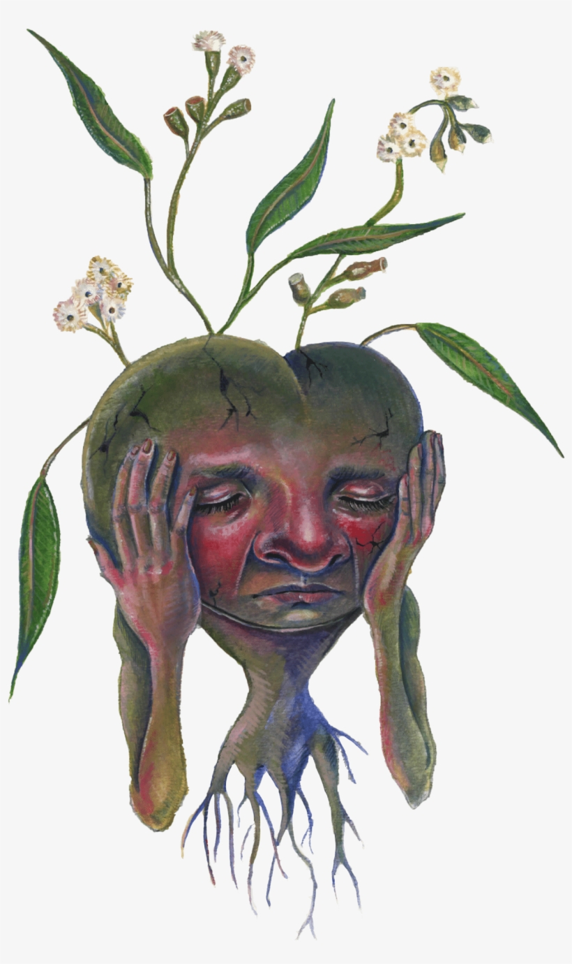 Essential Oil, transparent png download