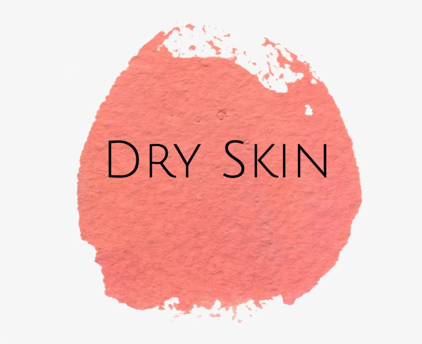 Start Here - Lipstick, transparent png download