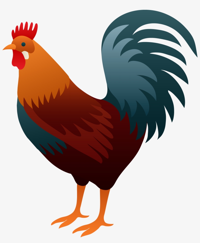 Png M 1434276676 Hen House Clipart 9 Ribbon - Rooster Clipart, transparent png download