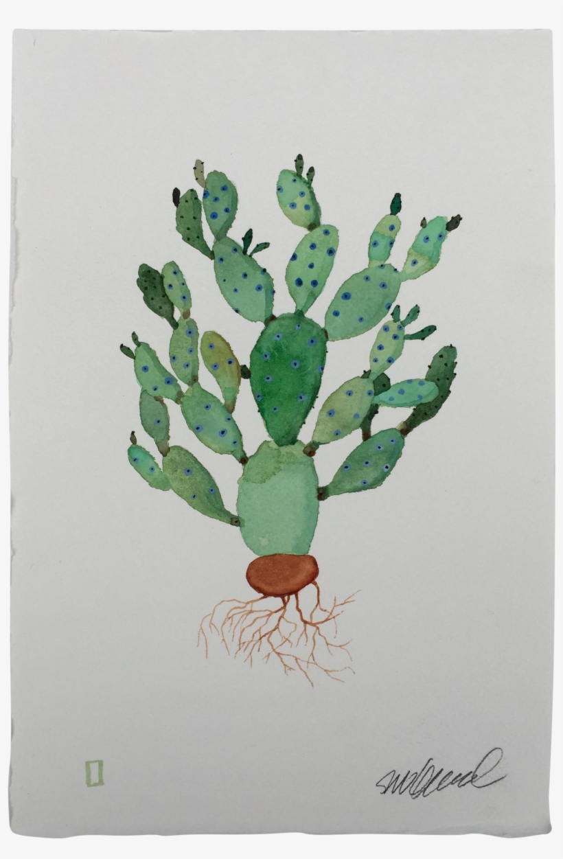 Cactus Watercolor Png - Barbary Fig, transparent png download