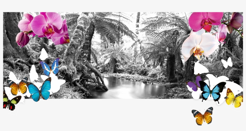 Orchids Png, transparent png download