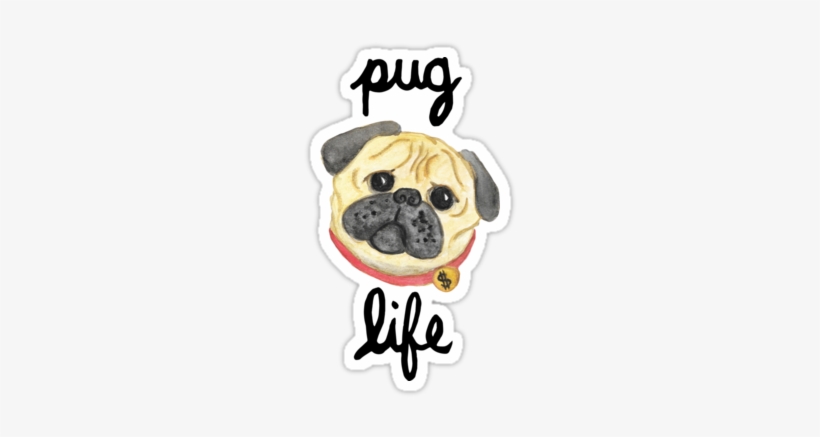 Sticker375x360-u2 - Pug, transparent png download