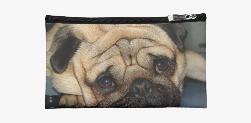 Pug Face Bag - Zazzle Euro Pug Face Cosmetic Bag, transparent png download