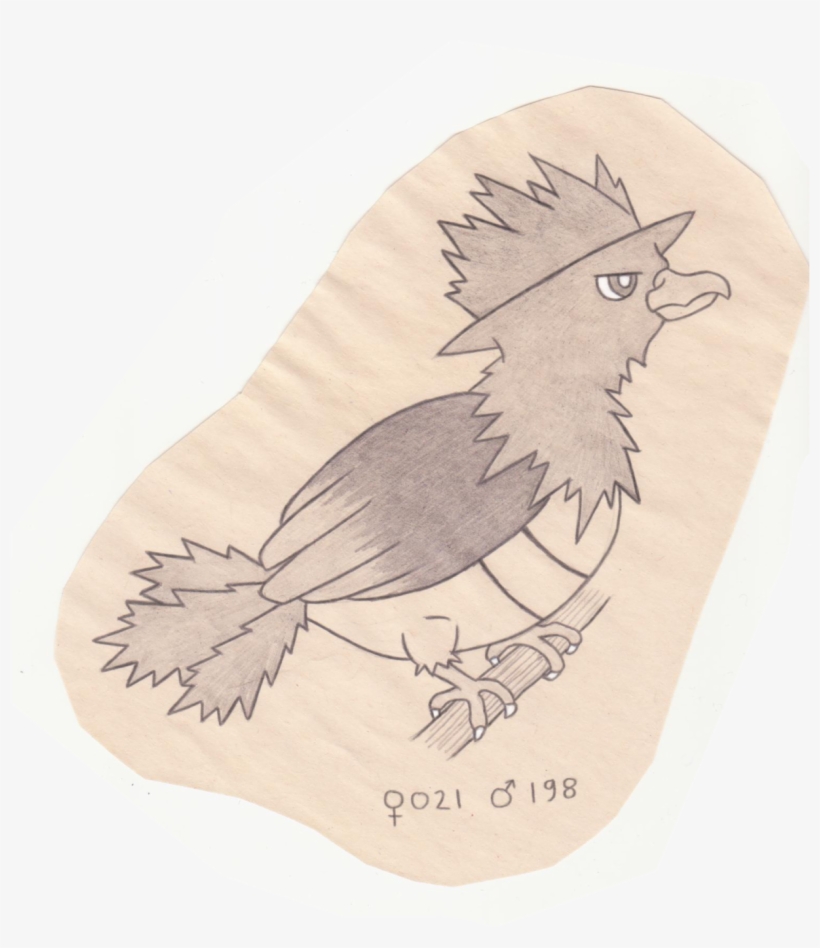 Clip Art Library Library Birb Drawing Tiny Bird, transparent png download