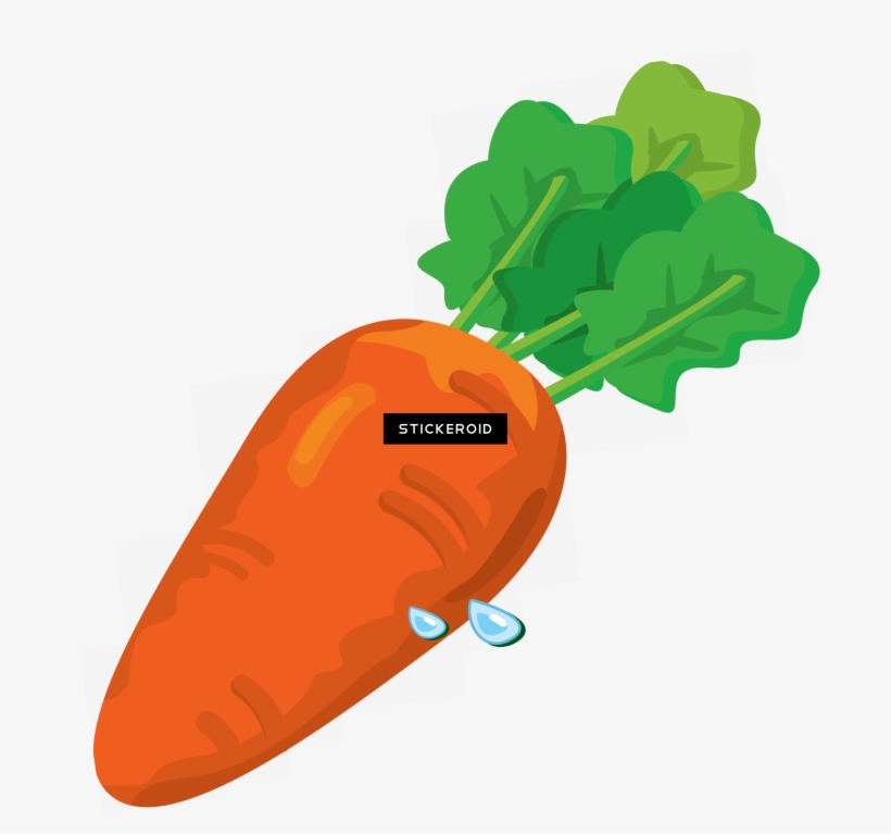 Carrot, transparent png download