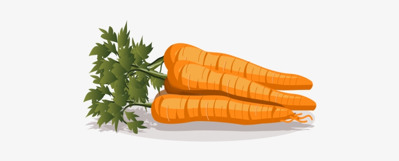 The Antioxidants Found In Carrots Include Vitamin C, - Carrot, transparent png download