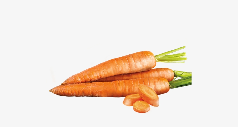 Search For - - Carrot, transparent png download
