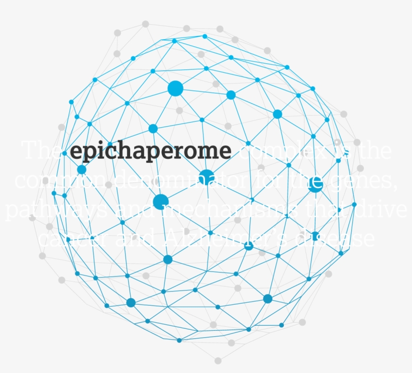 Samus Therapeutics Is A Privately Held Boston-based - Circle, transparent png download