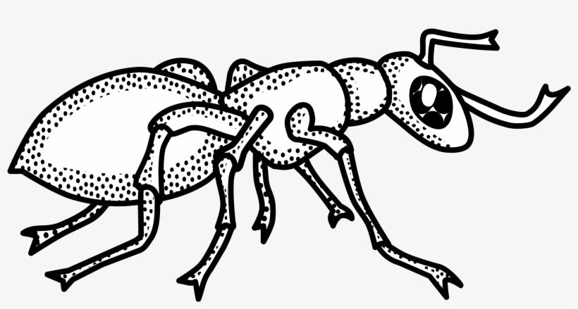This Free Icons Png Design Of Ant - Clip Art Black And White Ant, transparent png download