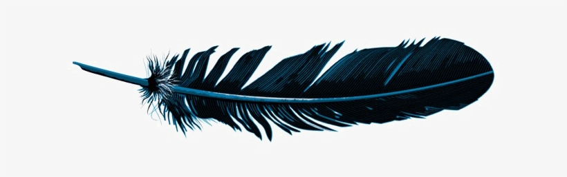 Feather Png Pic - Art, transparent png download