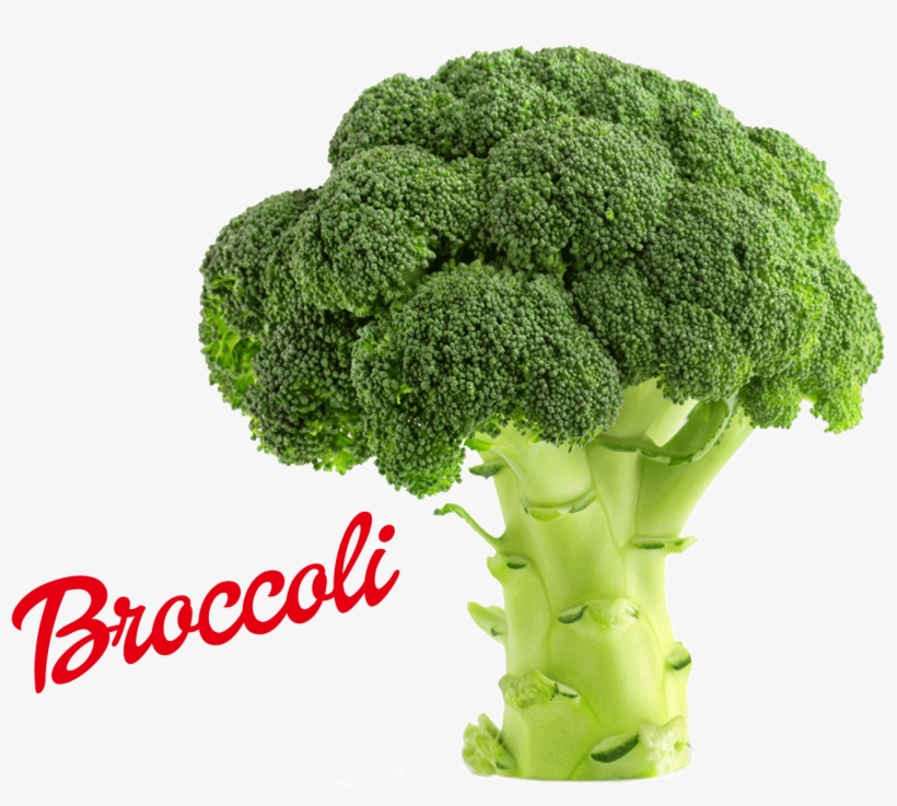 Broccoli Png Image - Does Fruit And Veg Give You, transparent png download