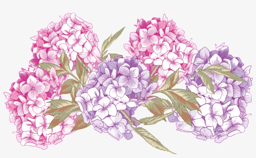 Hand Painted Purple Flower Elements - Vector Graphics, transparent png download