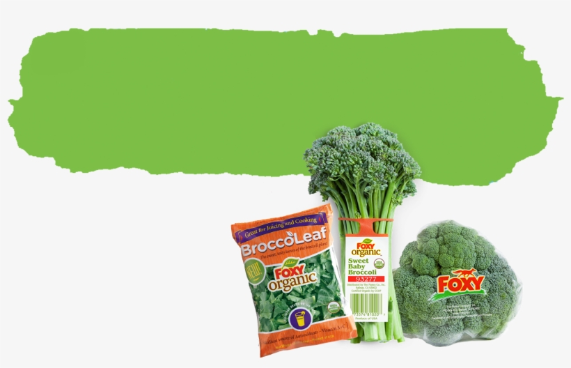 The Count Down Is Over, But The Celebration Of Broccoli - Foxy Organic Broccoli, transparent png download
