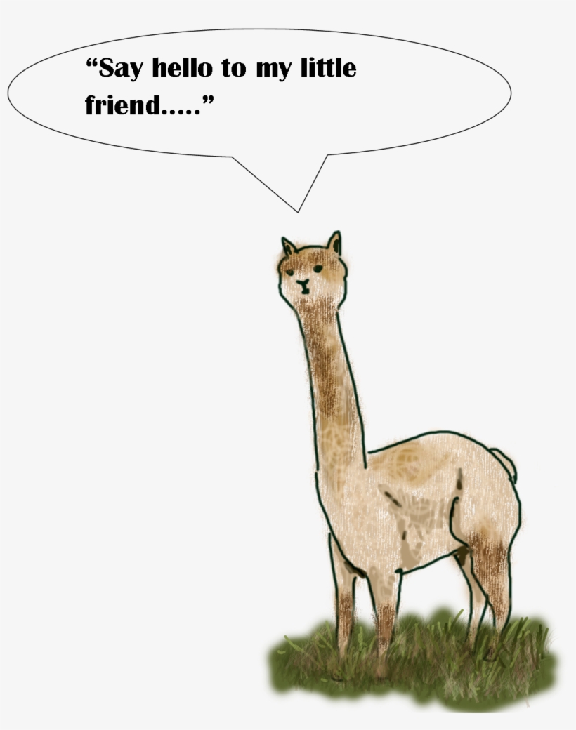 Alpacas Are Used Quite Successfully On Some Farms In - Llama, transparent png download