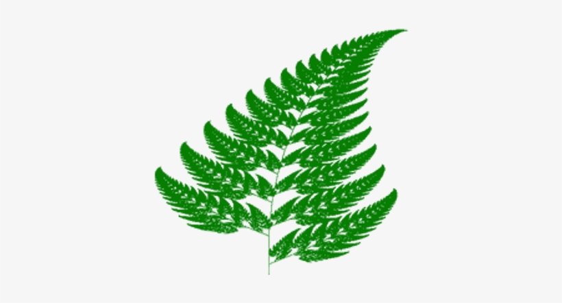 Fern Branch - Fractal Geometry, transparent png download
