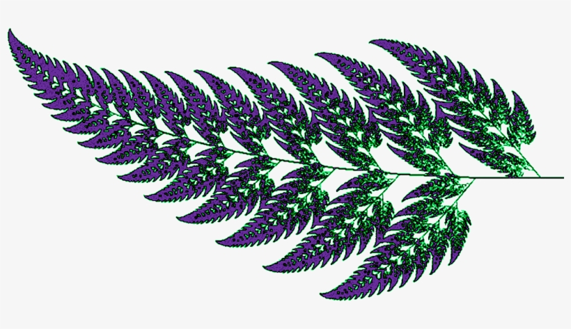 Ifs Can Be Seen As A More General Way To Perform Koch - Fern Leaf, transparent png download