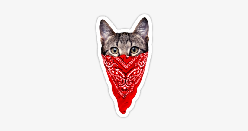 Gangster Cat By Clingcling - Gangsta Cat, transparent png download