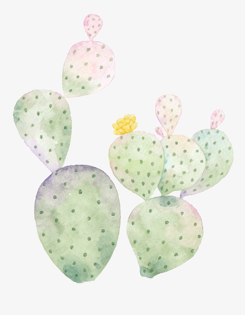 Hand Painted Cactus Png Transparent - Cactus And Succulent Clipart, transparent png download