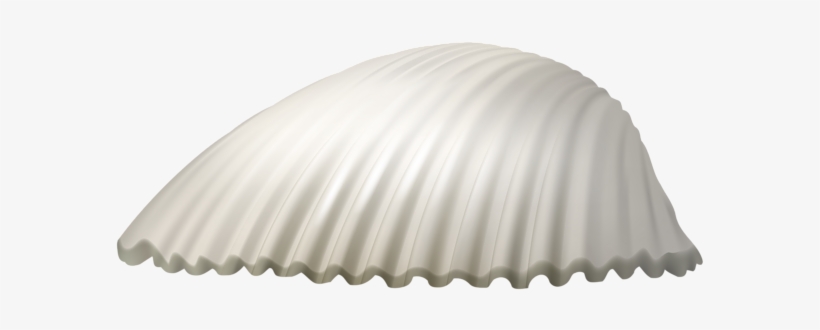 Seashell Png Clip Art Image - Seashell Png, transparent png download