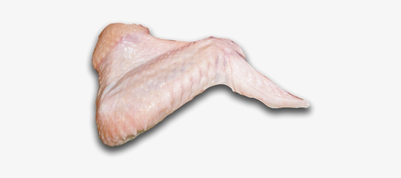 Turkey Wing, transparent png download
