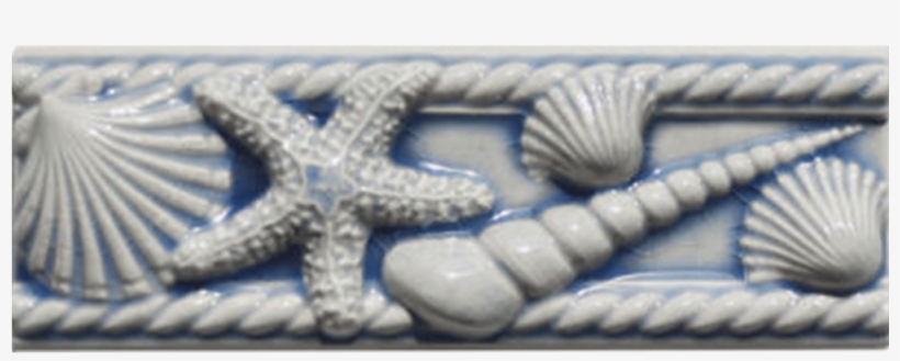 2 1/8" X 6" Seashell Liner, transparent png download