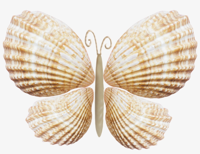 Fotki Seashell Ornaments, Seashell Art, Seashell Crafts, - Star Trek Romulan Empire Crest, transparent png download