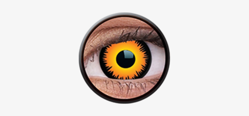 Contact Lenses, transparent png download