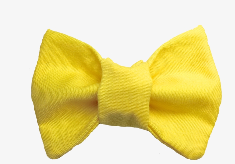 You Are My Sunshine Cat Bow Tie, transparent png download