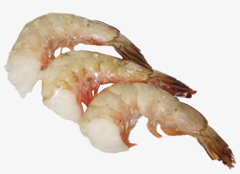 Wild Usa Gulf Shrimp Litopenaues Setiferus - Botan Shrimp, transparent png download