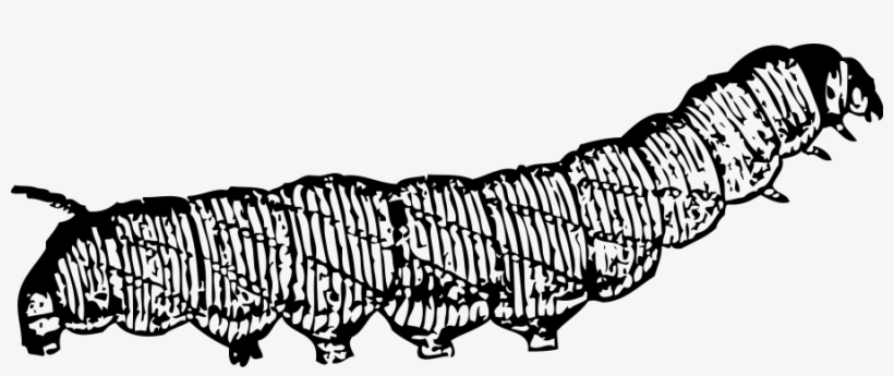 Caterpillar Clip Art, transparent png download