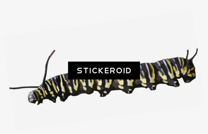 Caterpillar Yellow Black - The Very Hungry Caterpillar, transparent png download