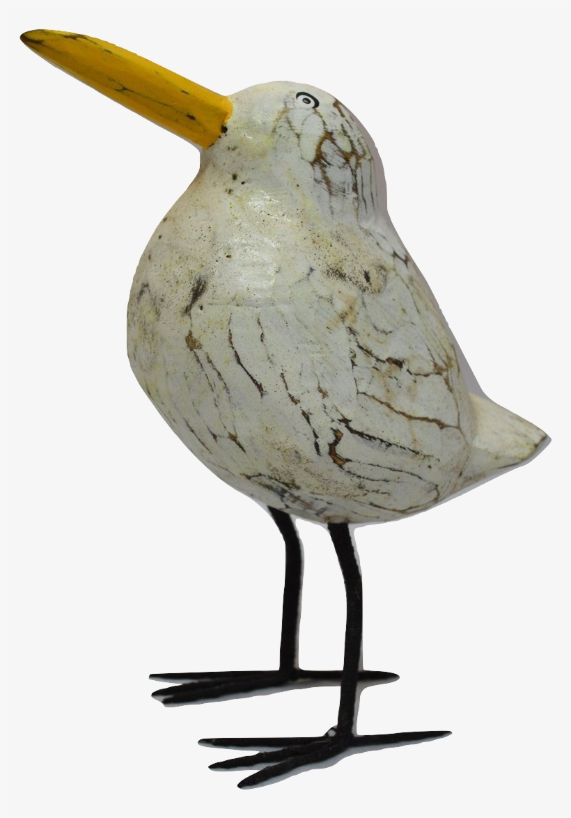 Gulls, transparent png download