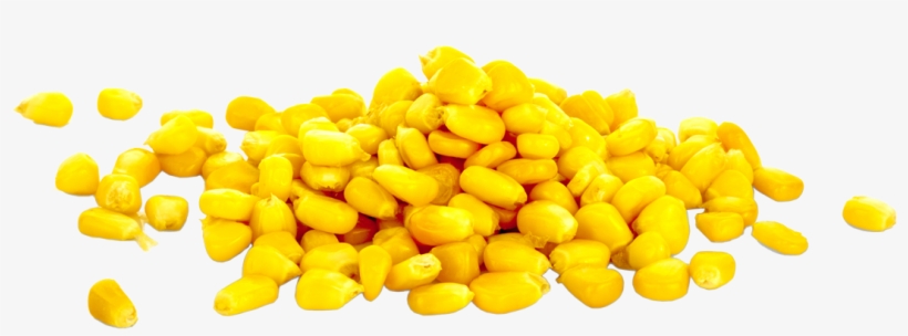 100% Corn Mashes - Maize, transparent png download