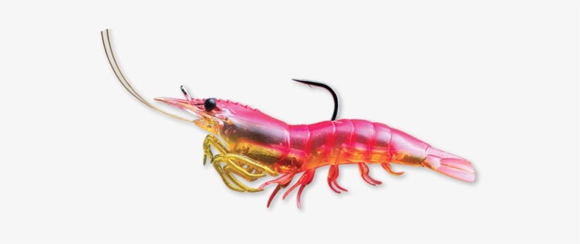 Pink, transparent png download