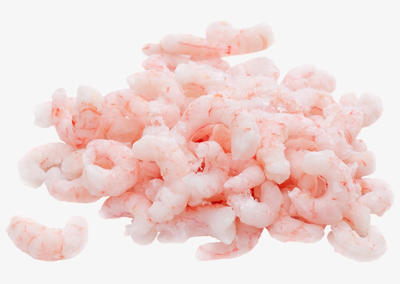 Sizes - Peeled Shrimp Png, transparent png download