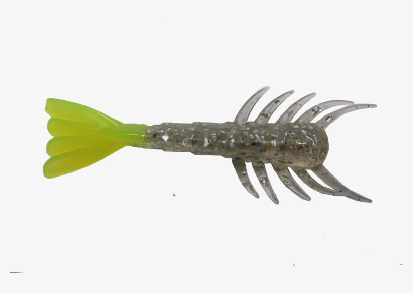 Saltwater Shrimp - Shrimp, transparent png download