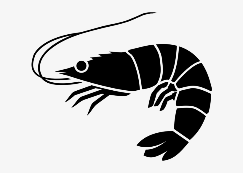 Shrimp - Shrimp Png Black And White, transparent png download