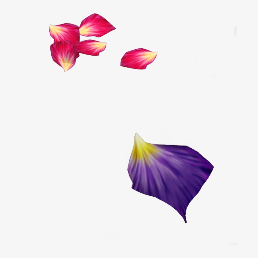 Multicolored Flower Petals - Purple Flower Petal Png, transparent png download