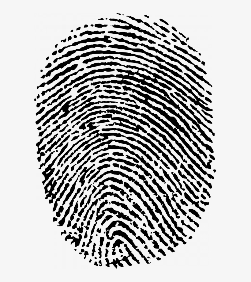 Отпечаток Пальца - Criminal Investigation: Basic Perspectives [book], transparent png download