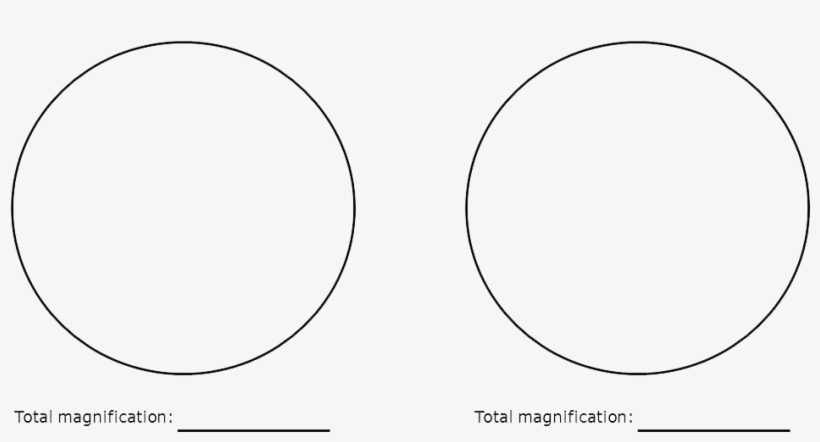 Two-circles - Circle, transparent png download