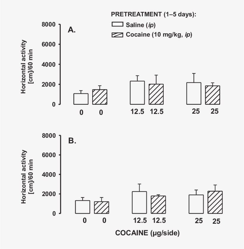 Effects Of Intra-nac Core Microinjections With Cocaine - Diagram, transparent png download