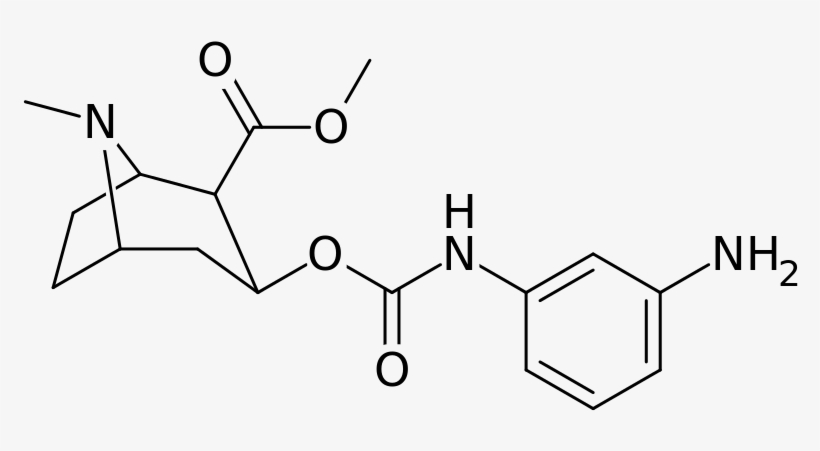 Cocaine Analog 223g - Ethyl Succinate, transparent png download