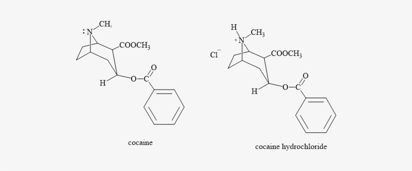 The Boiling Point Or Melting Point Of A Compound Depends - Diagram, transparent png download