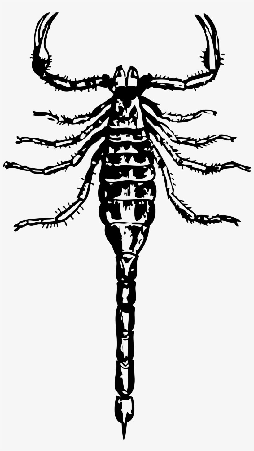 Big Image, transparent png download