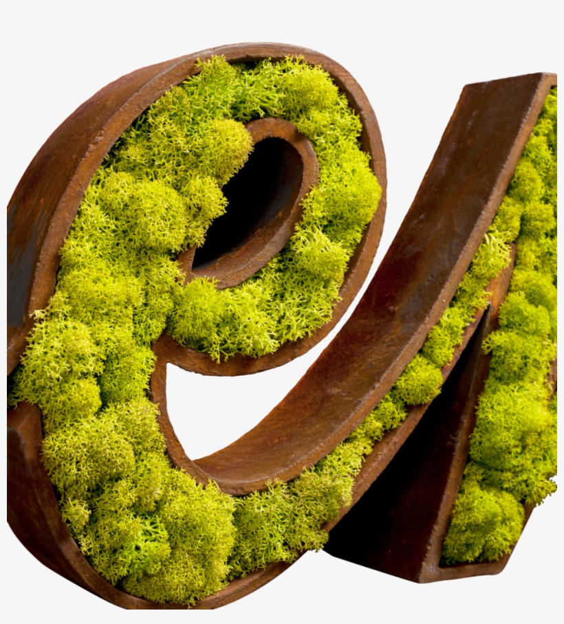 1406 Francesco Meaolo 125 Modifica 2 - Moss Logo, transparent png download